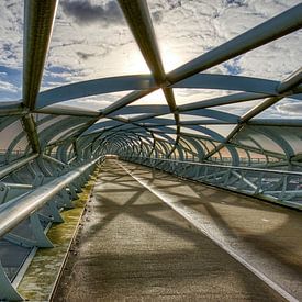 Bicycle bridge De Netkous in Rotterdam in HDR by W J Kok