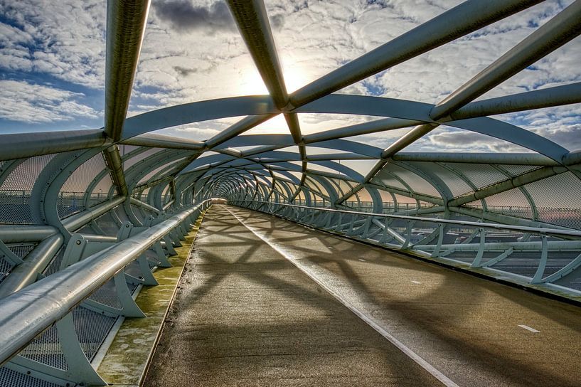 Fahrradbrücke De Netkous in Rotterdam im HDR von W J Kok