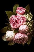 Licht Roze Pioenen Romantisch I