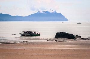 Uitzicht vanaf het strand van het Bako nationaal park Borneo