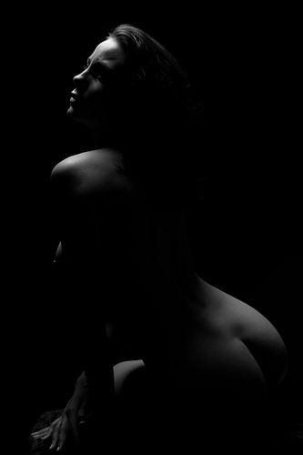 Artistieknaakt zittende low-ley