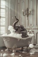 Elephant in the bathtub