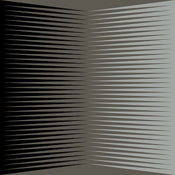 Geometric Line Fold