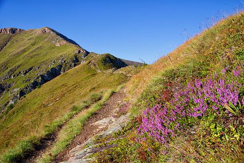 Hei op de Rinsennock