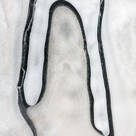 Lijnenspel in ijs van Franke de Jong