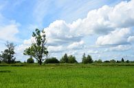 Nederlands polder landschap van Gerard de Zwaan thumbnail