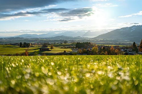 Herfstuitzicht over de Ostallgäu bij zonsopgang
