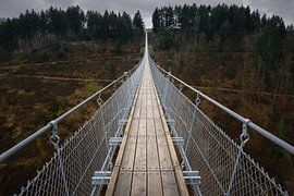 Hängebrücke Geierlay Deutschland von Jolanda Aalbers