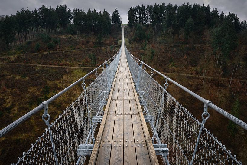 Geierlay suspension bridge Germany by Jolanda Aalbers