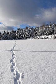 Fußspuren im Schnee von Claude Laprise