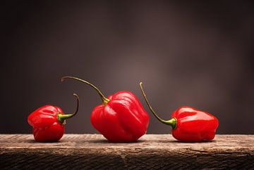 Hete en pikante Habanero chili op rustiek hout van Andreas Berheide Photography