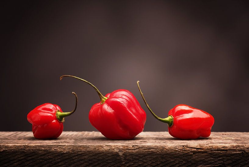 Hot and spicy Habanero chili on rustic wood von Andreas Berheide Photography