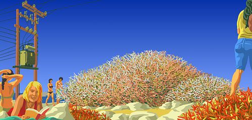 Euphorbia acanthothamnos