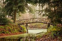 Knuppelbrug in Groningen in de herfst