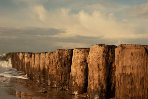 golfbrekers op de kust van Zeeland van anne droogsma