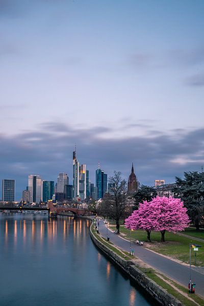 Frankfurt am Main mit Mandelbaum von Fotos by Jan Wehnert