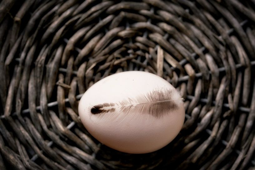 Ein Ei antippen von Sara in t Veld Fotografie