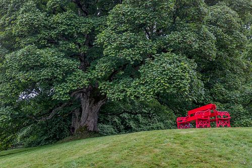 Rood bankje 