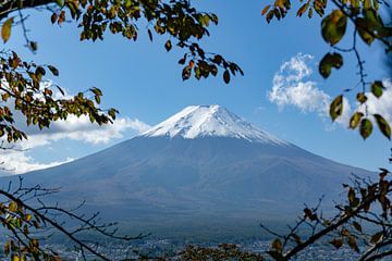 De berg Fuji van Melanie Jahn