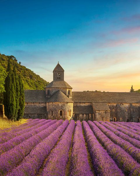 De abdij van Senanque en bloeiende lavendel van Stefano Orazzini