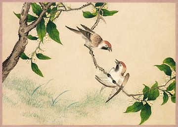 Gossiping Sparrows (18th Century) painting by Zhang Ruoai. by Studio POPPY
