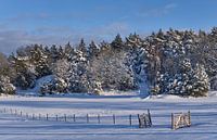 zweeds landschap met sneeuw van Geertjan Plooijer thumbnail