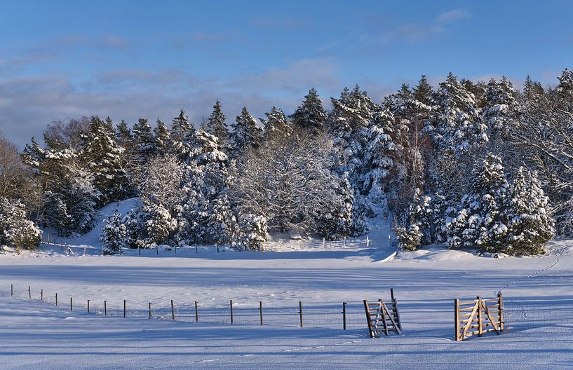 Swedish landscape with snow by Geertjan Plooijer