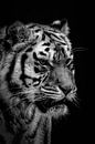 Portret van een tijger in zwart-wit van Marjolein van Middelkoop thumbnail
