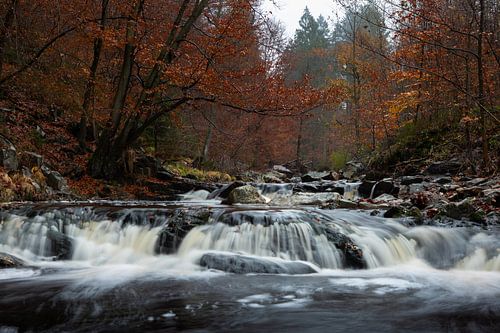 Après-midi d'automne à la chute d'eau