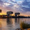Cologne - Panorama Sunset by Frank Herrmann