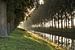 Bomenrij in de ochtendnevel langs een afwateringskanaal van Nico de Lezenne Coulander