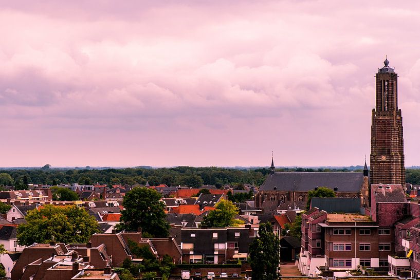 Over de daken en de Martinuskerk van Jolanda de Jong-Jansen
