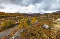 Landschap van Noorwegen tijdens de herfst. von Menno Schaefer Miniaturansicht