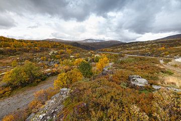 Autumn colours at Norway by Menno Schaefer