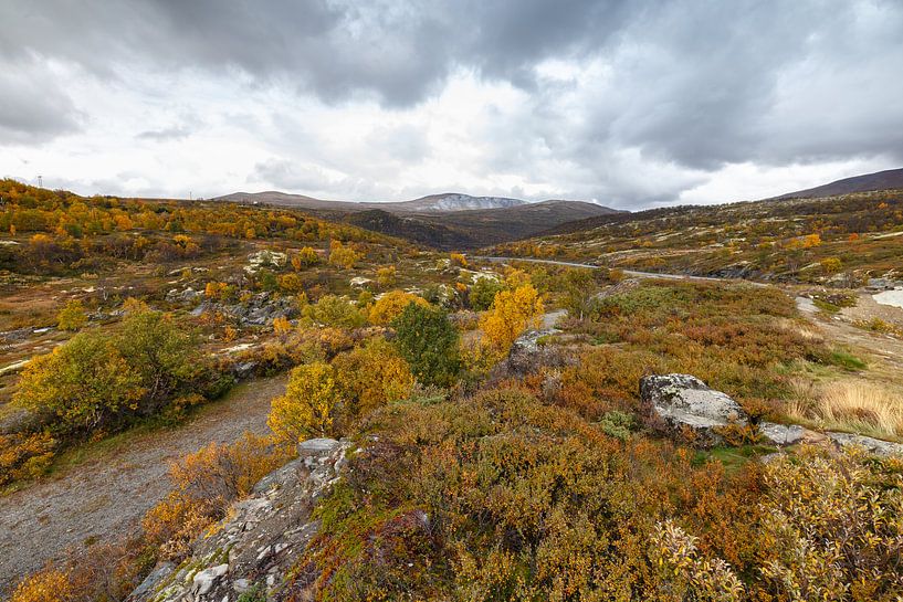 Landschap van Noorwegen tijdens de herfst. par Menno Schaefer