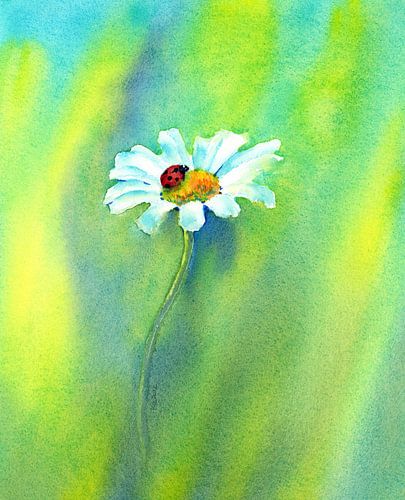 Coccinelle sur une marguerite Peinture à l'aquarelle