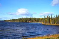 Beauty in the nature of Sweden by Thomas Zacharias thumbnail
