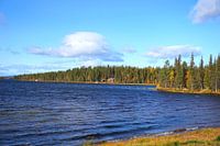 Beauty in the nature of Sweden