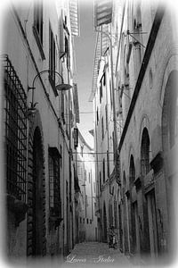 Schwarz & Weiß italienische Straße in Lucca