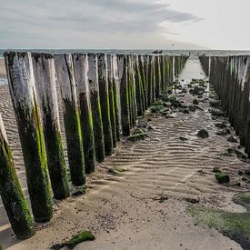 Zeeuwse kust Zoutelande von Marianne Hijlkema-van Vianen