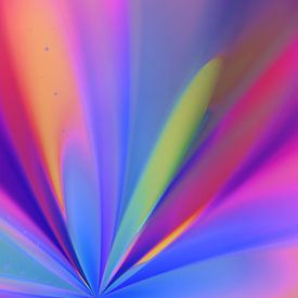 Flora Diamont 11122 von Claudia Gründler