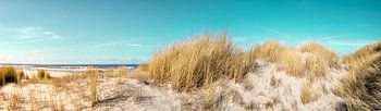 Dunes at Vliehors, Vlieland