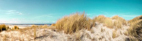 Duinen op de Vliehors Vlieland