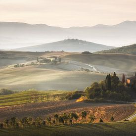 Tuscany by Jeroen Linnenkamp