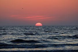 Morgenstimmung auf Usedom von Thomas Jäger