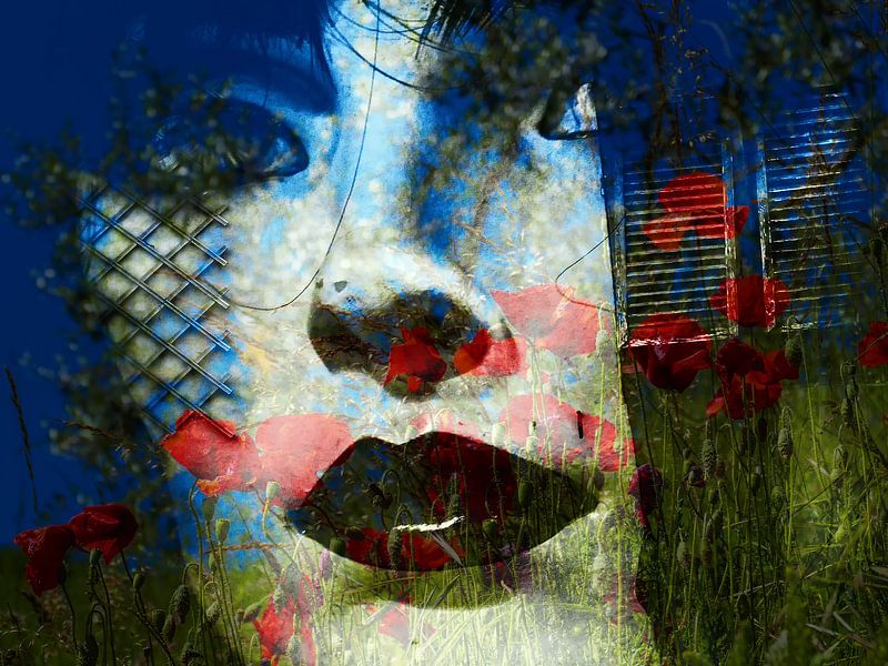 The white face and the poppies von Gabi Hampe