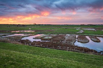 Südküste von Schouwen