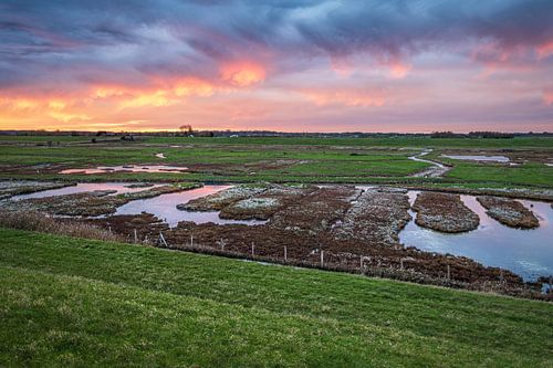 Südküste von Schouwen von Sander Poppe