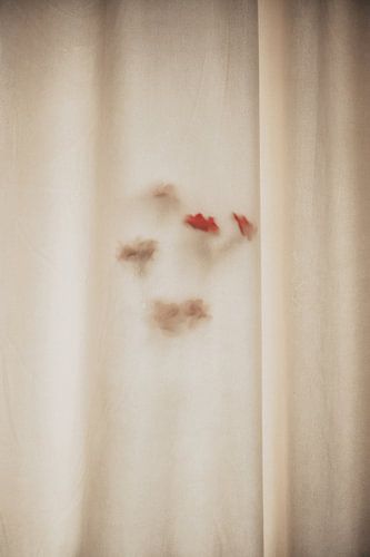 Serene Blossom by Floortje Louise