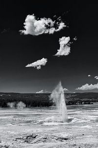 Geiser in Yellowstone van Denis Feiner